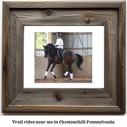 trail rides near me in Chestnuthill, Pennsylvania